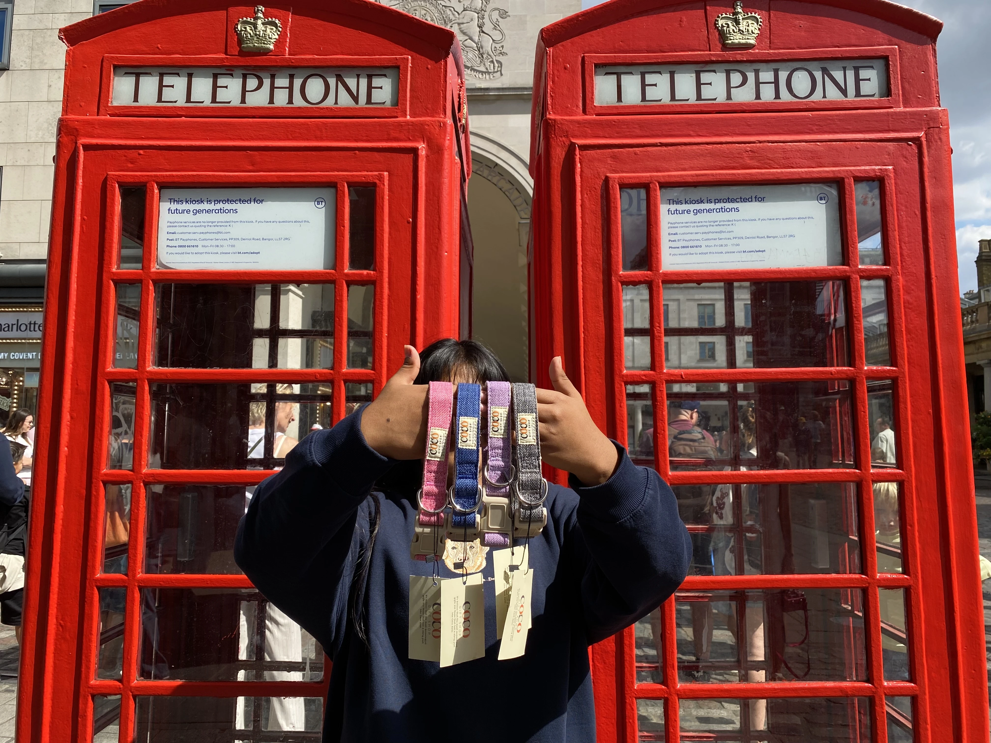 Coco collars with London landmarks